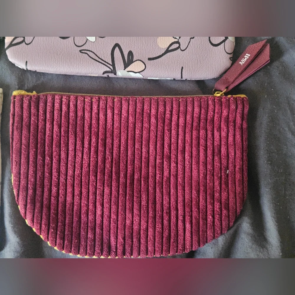 4 ipsy makeup/travel bags